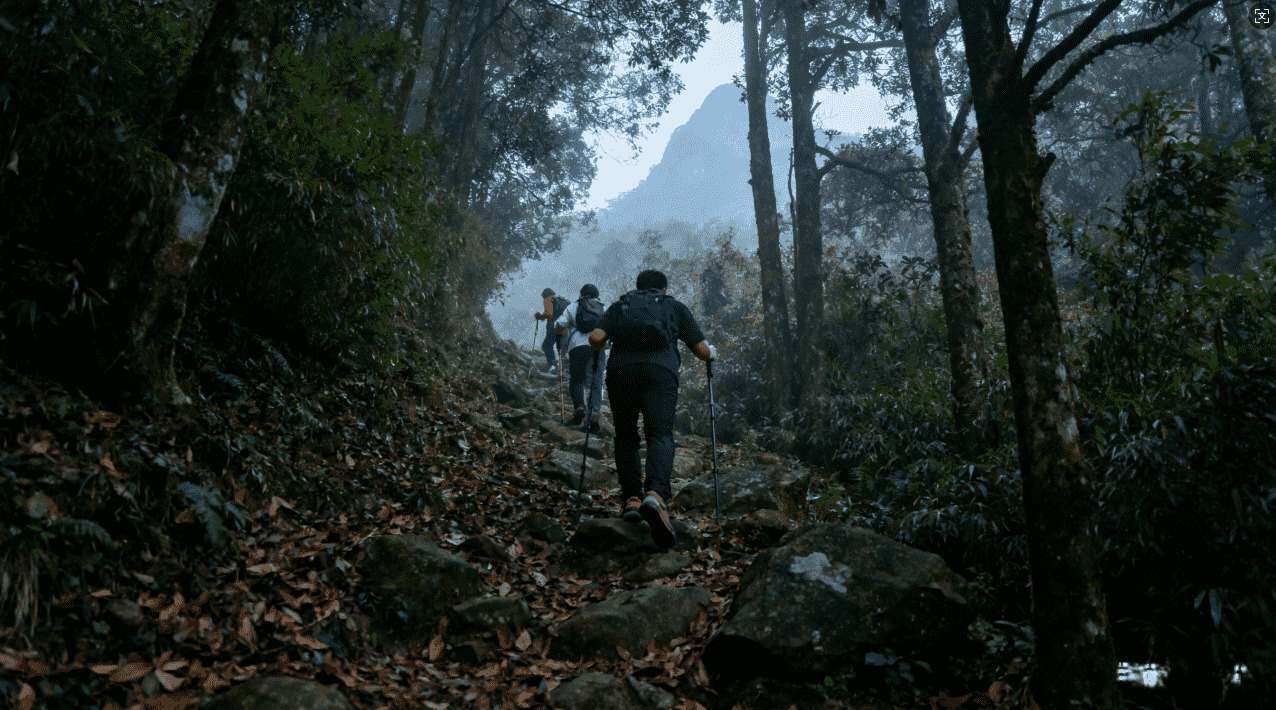 电脑免费VPN推荐：海神加速器全方位解析